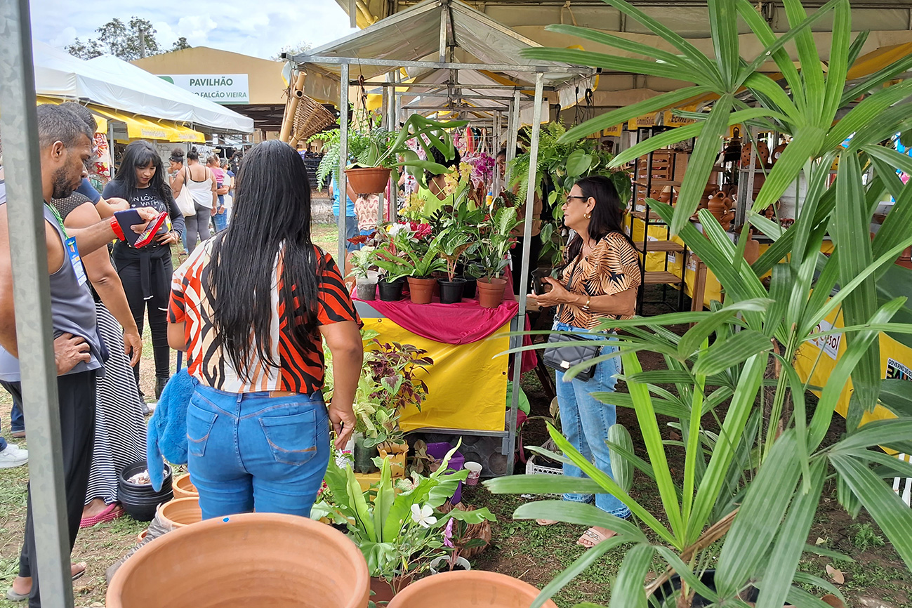 Foto: Reprodução/Prefeitura de Feira de Santana - BA